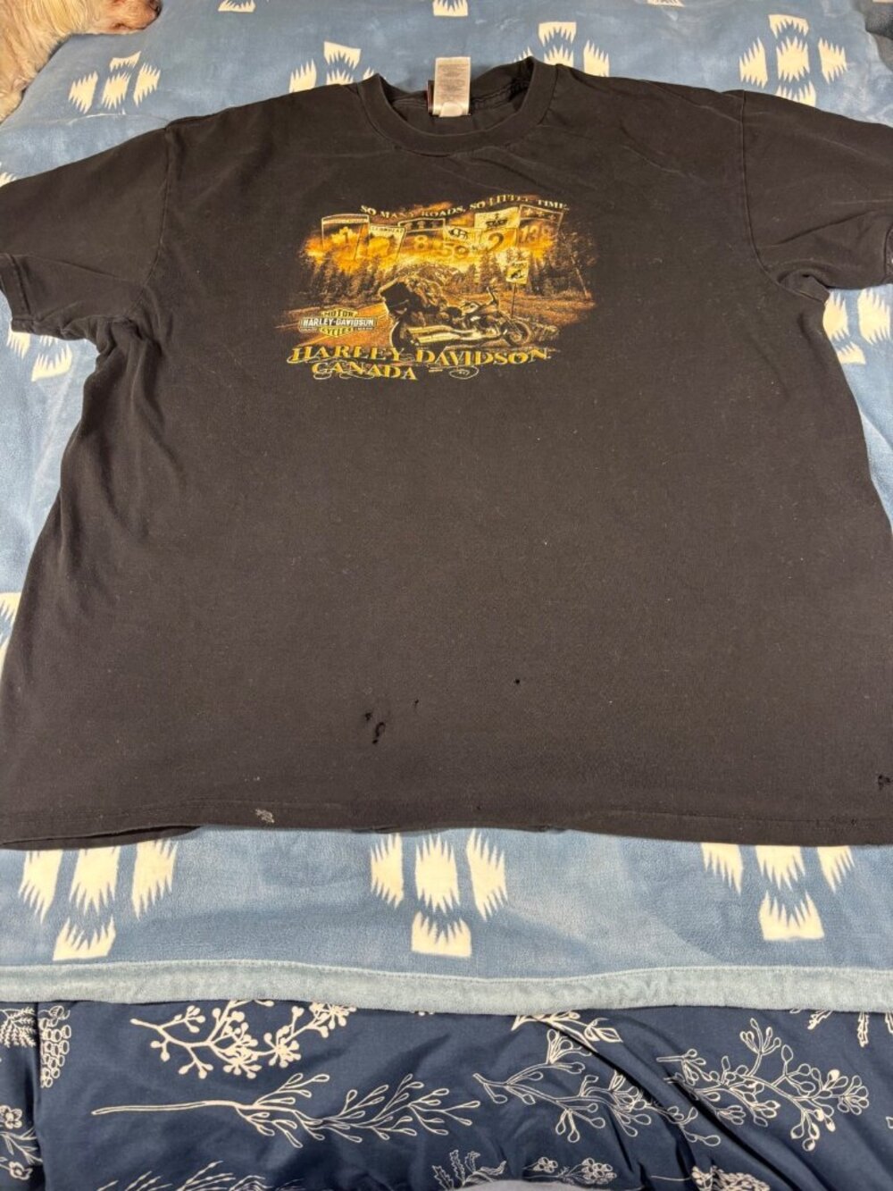 Harley-Davidson Canada Graphic T-Shirt Mens 2XL Black Distressed Biker Tee